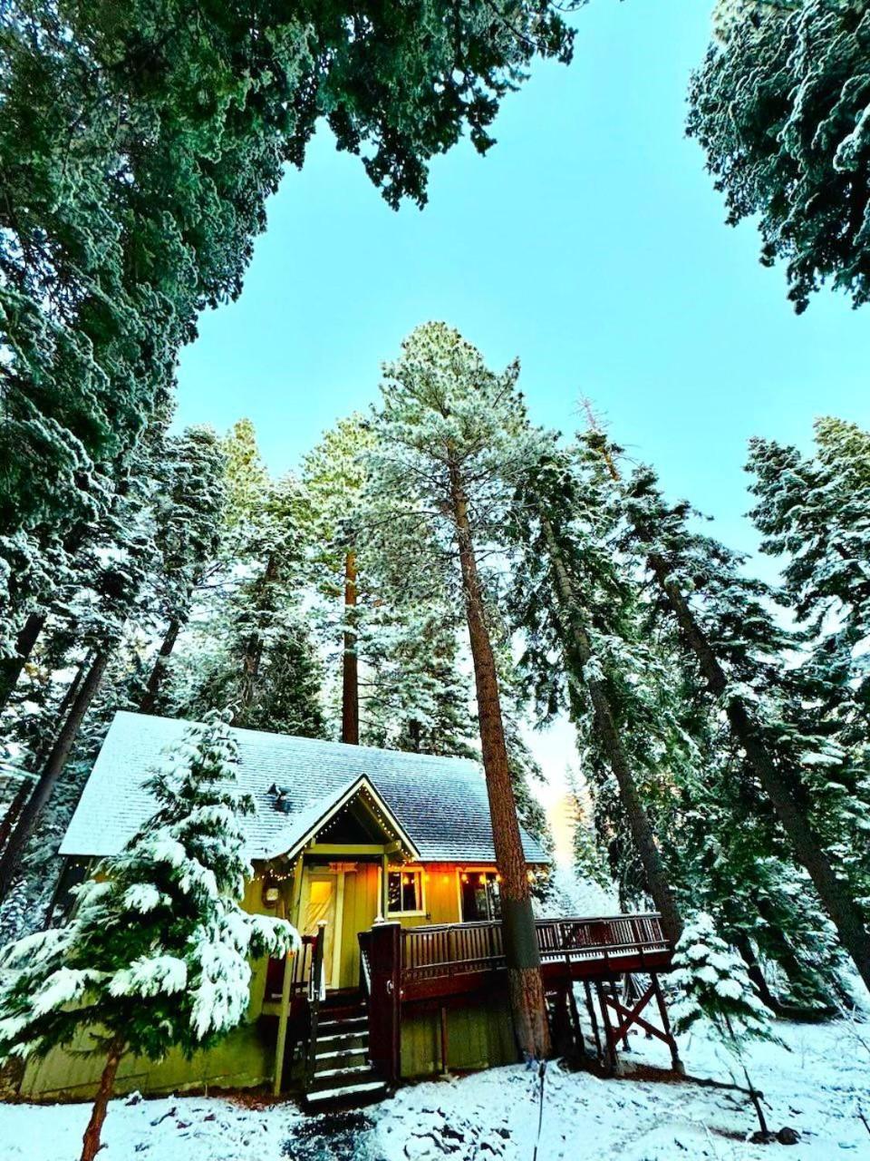 The Honey Bear Cabin Carnelian Bay Luaran gambar