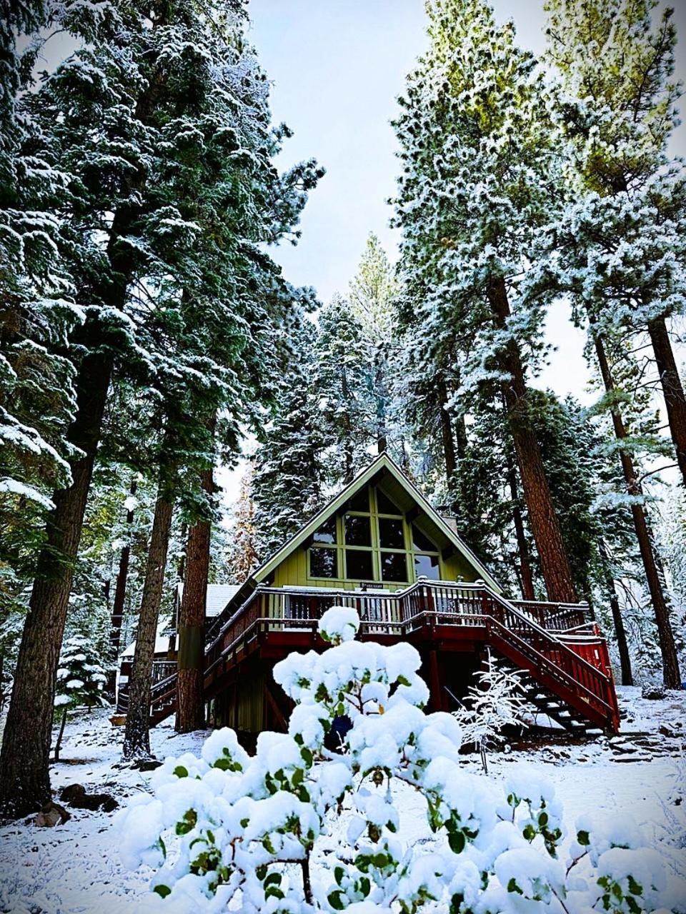 The Honey Bear Cabin Carnelian Bay Luaran gambar